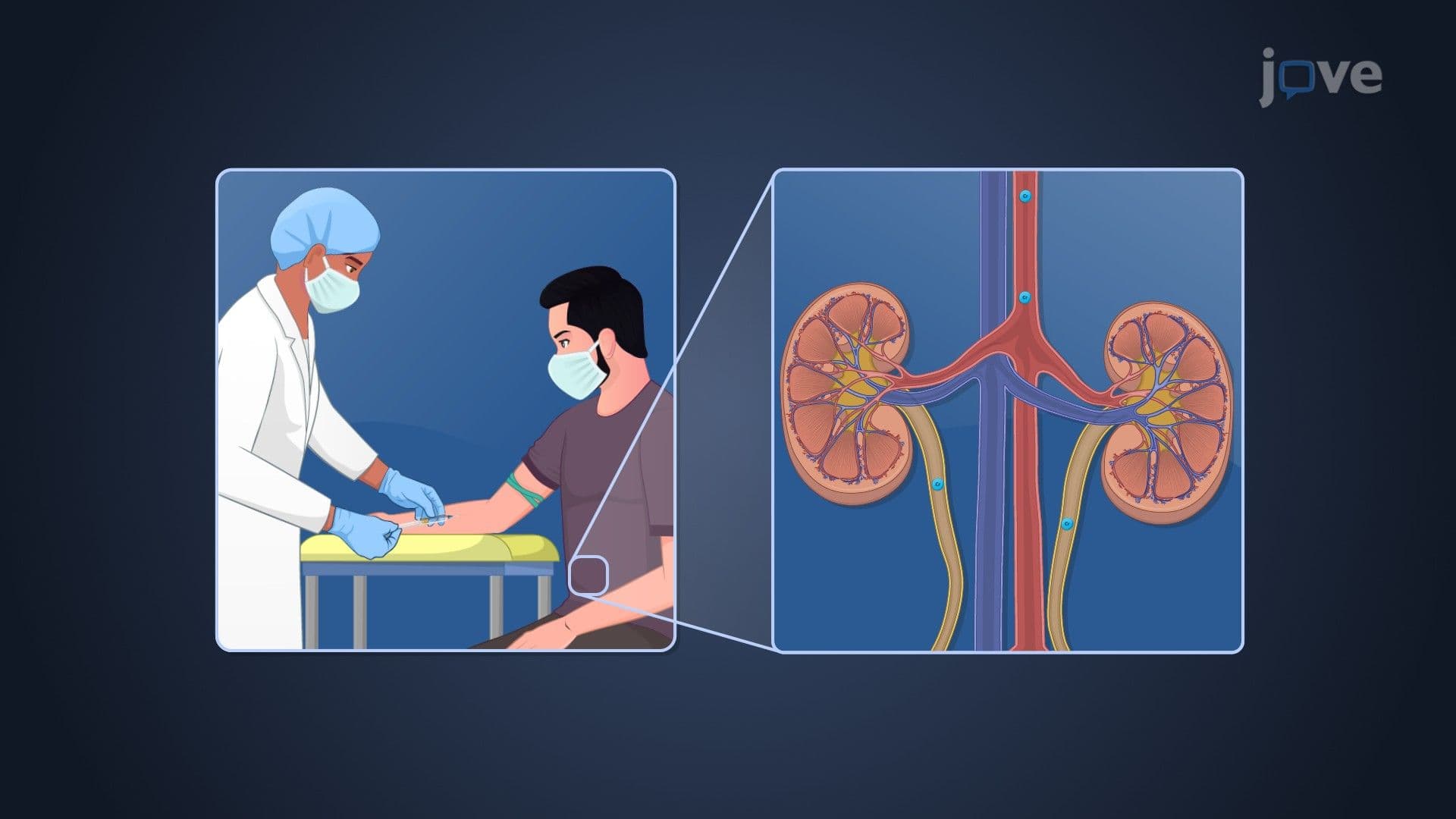 Drug Dosing in Renal Diseases: Measurement of Serum Creatinine Concentration and Clearance