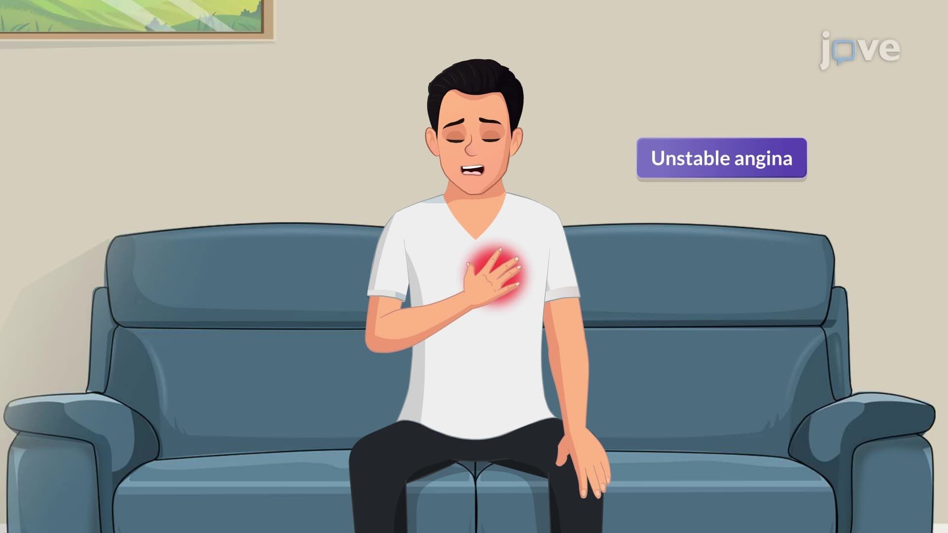 Acute Coronary Syndrome II: Pathophysiology and Clinical Manifestations