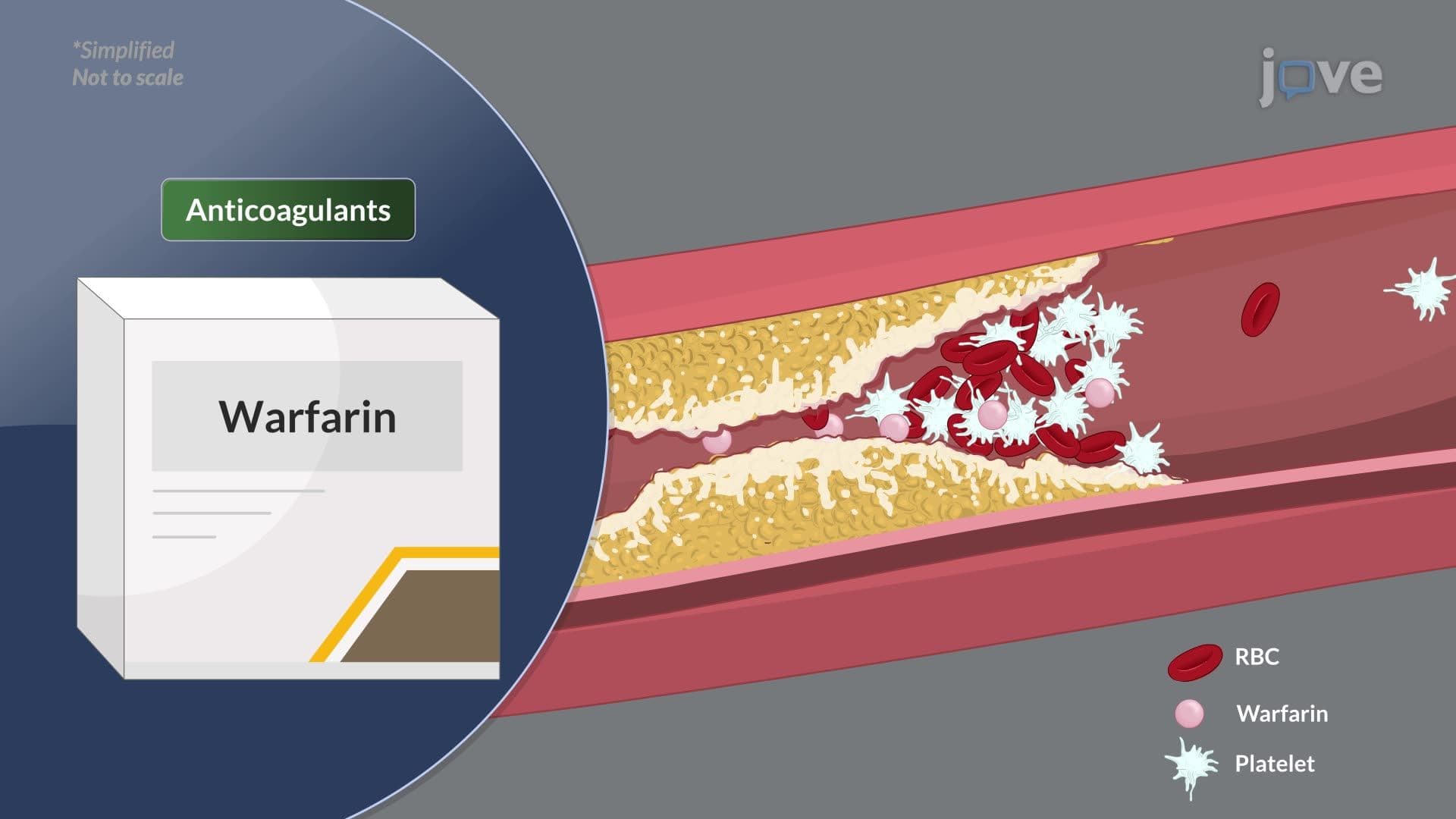 Dysrhythmias VI: Management of Dysrhythmias