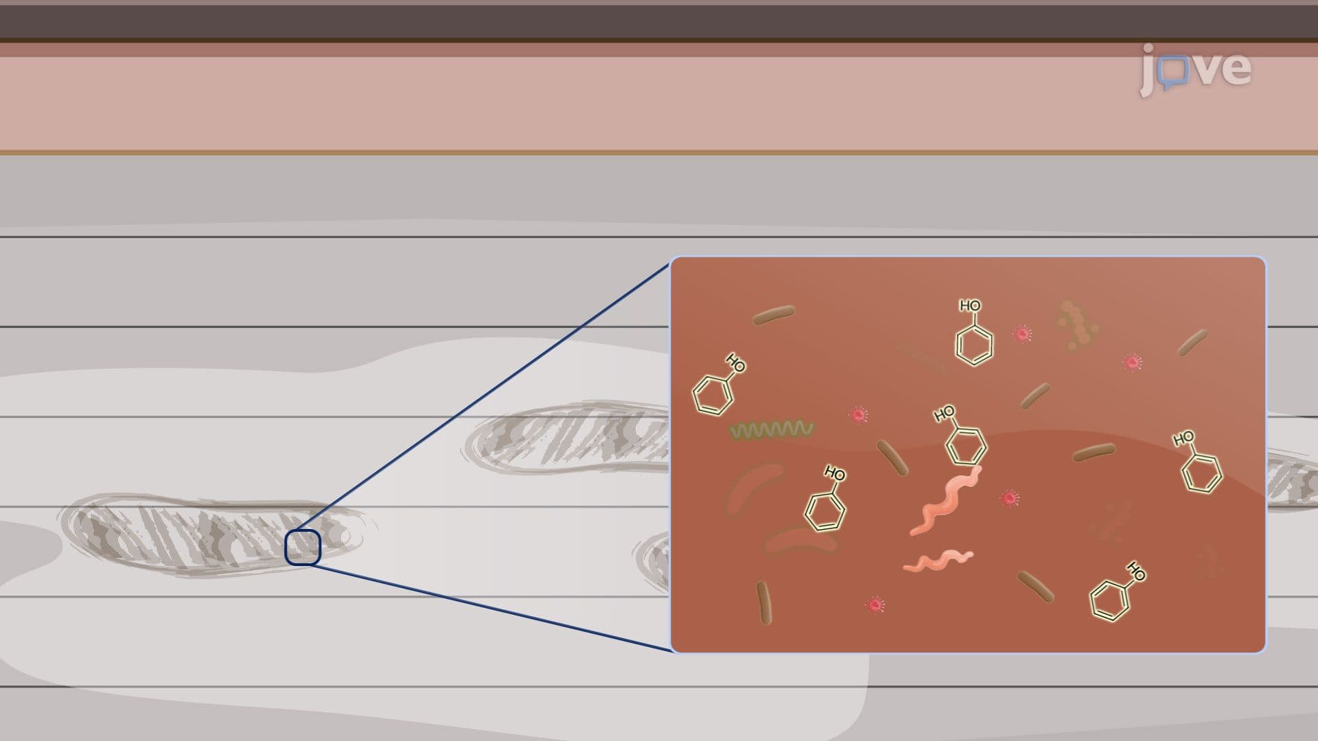 Chemical Agents for Microbial Control