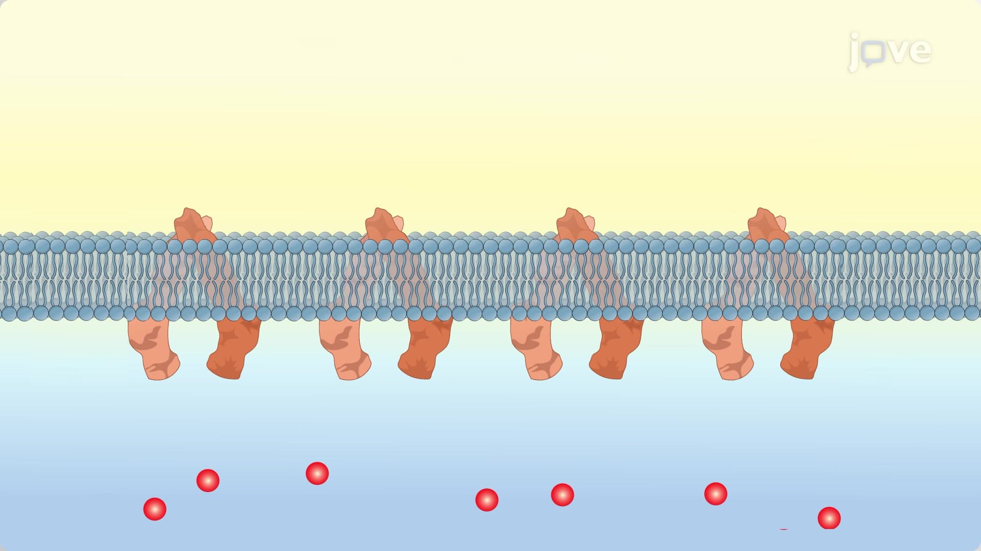 Treatment Resistant Cancers