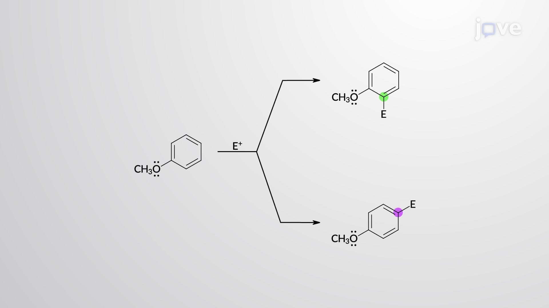 ortho&ndash;para-Directing Activators: &ndash;CH3, &ndash;OH, &ndash;&NoBreak;NH2, &ndash;OCH3