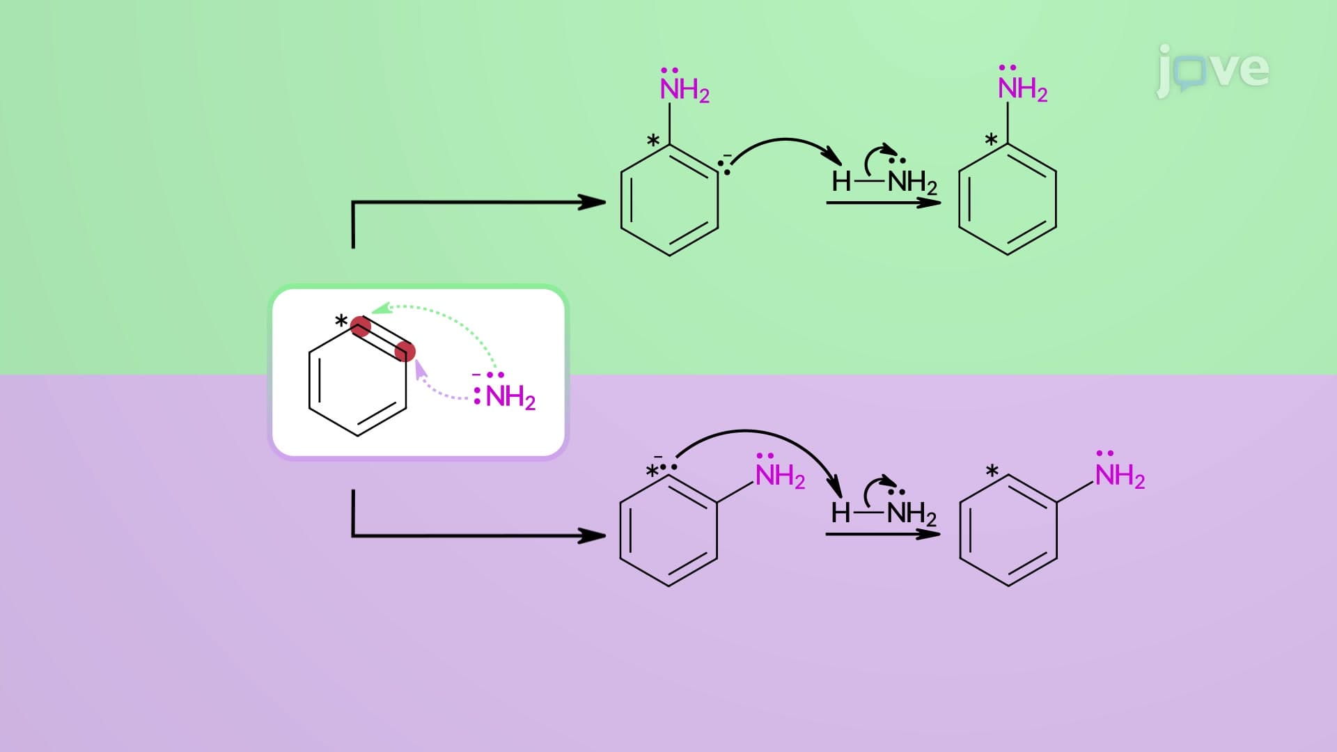 Nucleophilic Aromatic Substitution: Elimination&ndash;Addition