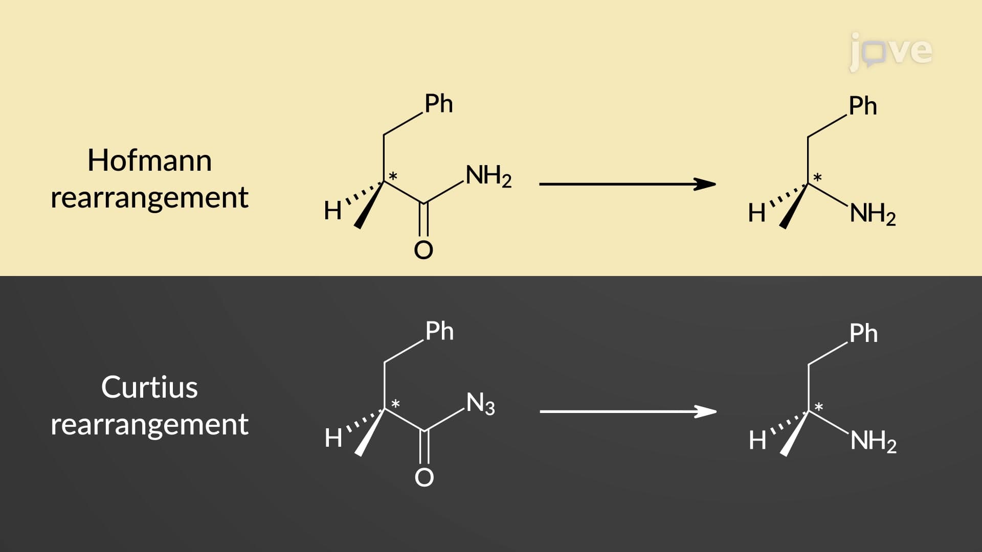 Preparation of 1&deg; Amines: Hofmann and Curtius Rearrangement Overview