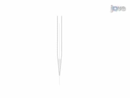 Fabrication of Amperometric Electrodes