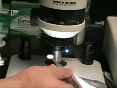 Horizontal Slice Preparation of the Retina