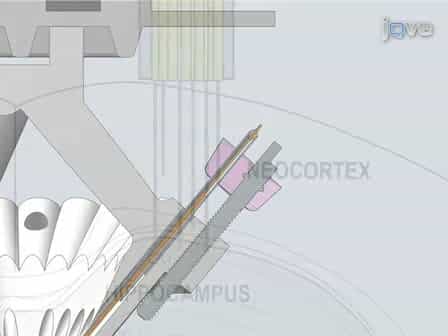 Micro-drive Array for Chronic in vivo Recording: Drive Fabrication