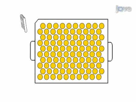 Quantifying Yeast Chronological Life Span by Outgrowth of Aged Cells