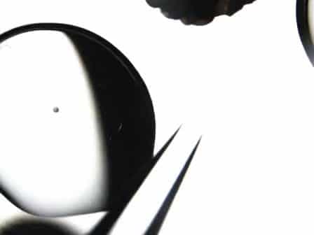 Nuclear Transfer into Mouse Oocytes