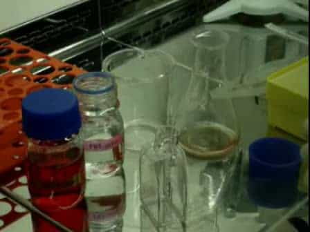 Cellular Toxicity of Nanogenomedicine in MCF-7 Cell Line: MTT assay