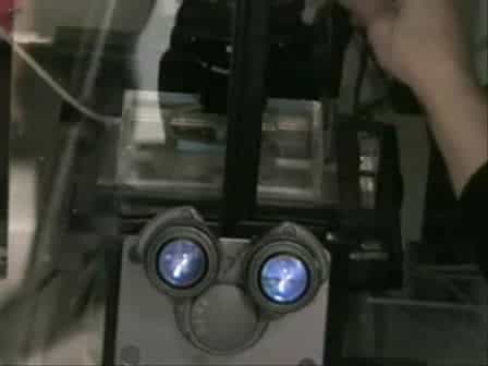 Long-term Imaging Mammalian Cells using Wide-Field Microscopy