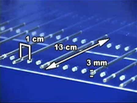 The Ladder Rung Walking Task: A Scoring System and its Practical Application.
