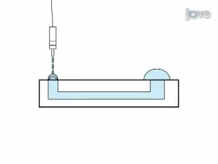High Speed Droplet-based Delivery System for Passive Pumping in Microfluidic Devices