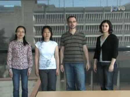 Large Insert Environmental Genomic Library Production