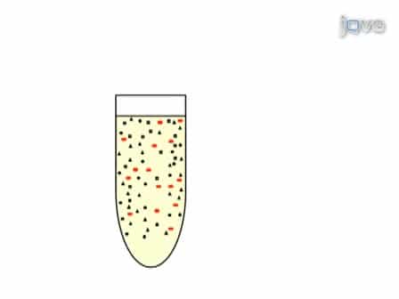 Purification of Mitochondria from Yeast Cells