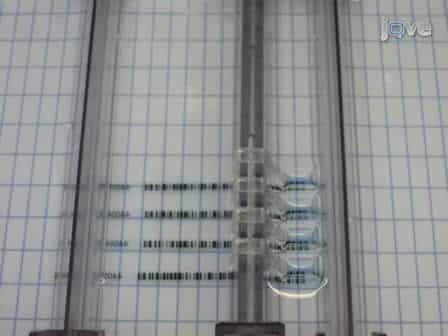 Fast and Sensitive Colloidal Coomassie G-250 Staining for Proteins in Polyacrylamide Gels