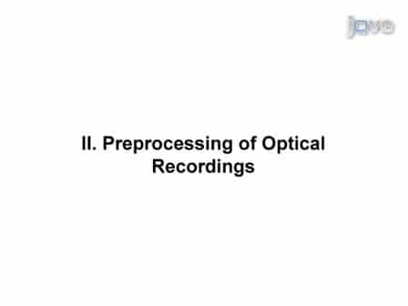 Semi-automated Optical Heartbeat Analysis of Small Hearts