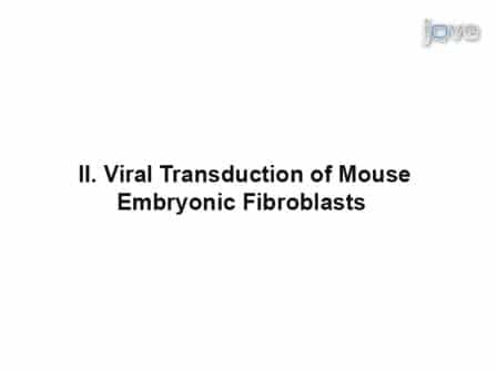 Generation of Induced Pluripotent Stem Cells by Reprogramming Mouse Embryonic Fibroblasts with a Four Transcription Factor, Doxycycline Inducible Lentiviral Transduction System