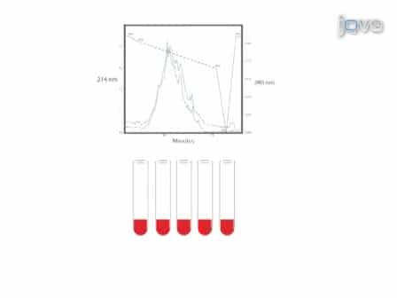 Quantitative Phosphoproteomics in Fatty Acid Stimulated Saccharomyces cerevisiae
