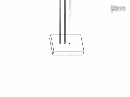Scalable Fluidic Injector Arrays for Viral Targeting of Intact 3-D Brain Circuits