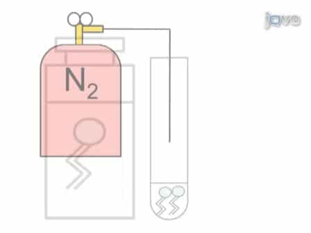 A Quantitative Assessment of The Yeast Lipidome using Electrospray Ionization Mass Spectrometry