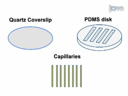 Automated System for Single Molecule Fluorescence Measurements of Surface-immobilized Biomolecules