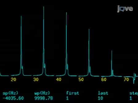 Noninvasive In Vivo Small Animal MRI and MRS: Basic Experimental Procedures