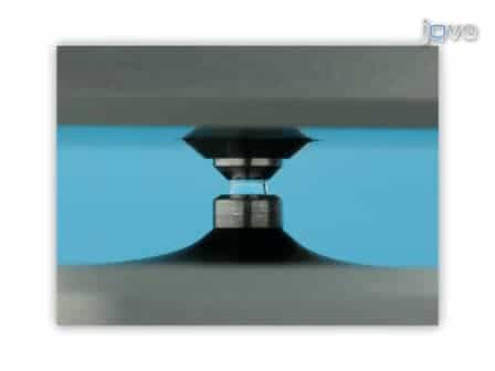 Microvolume Protein Concentration Determination using the NanoDrop 2000c Spectrophotometer