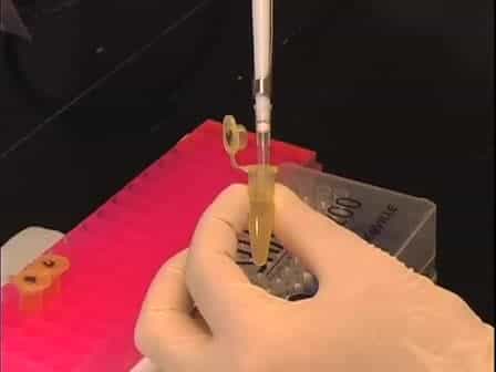 Tracheotomy: A Method for Transplantation of Stem Cells to the Lung