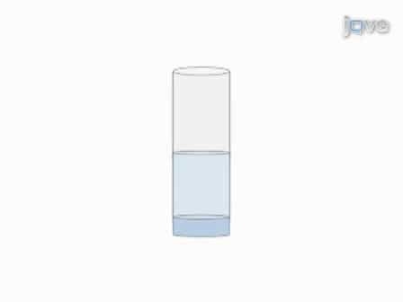 Preparation of embryos for Electron Microscopy of the Drosophila embryonic heart tube