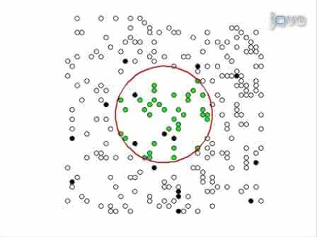 Measuring Diffusion Coefficients via Two-photon Fluorescence Recovery After Photobleaching
