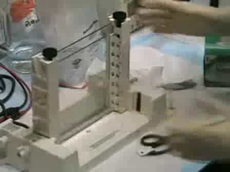 Denaturing Gradient Gel Electrophoresis DGGE