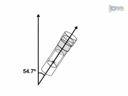 Magnetic Resonance Spectroscopy of live Drosophila melanogaster using Magic Angle Spinning