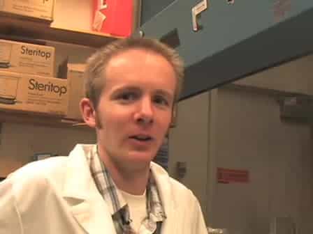 Isolation of Human Umbilical Vein Endothelial Cells HUVEC