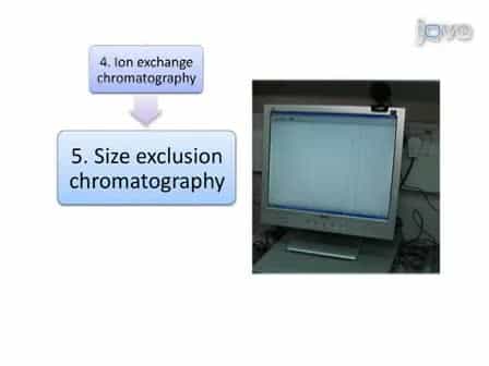 Purification of the M. magneticum Strain AMB-1 Magnetosome Associated Protein MamAΔ41
