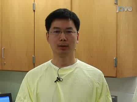 Simultaneous fMRI and Electrophysiology in the Rodent Brain