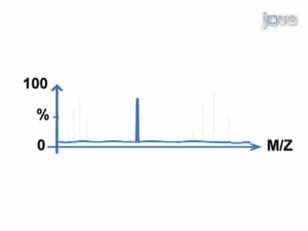 Analyzing Large Protein Complexes by Structural Mass Spectrometry