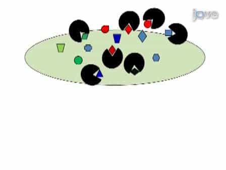 Selection of Aptamers for Amyloid β-Protein, the Causative Agent of Alzheimer's Disease