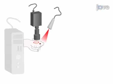 How to Build a Laser Speckle Contrast Imaging LSCI System to Monitor Blood Flow