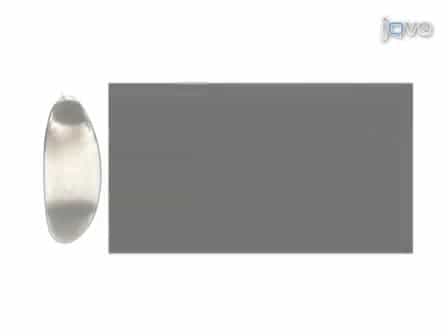 In-vivo Centrifugation of Drosophila Embryos