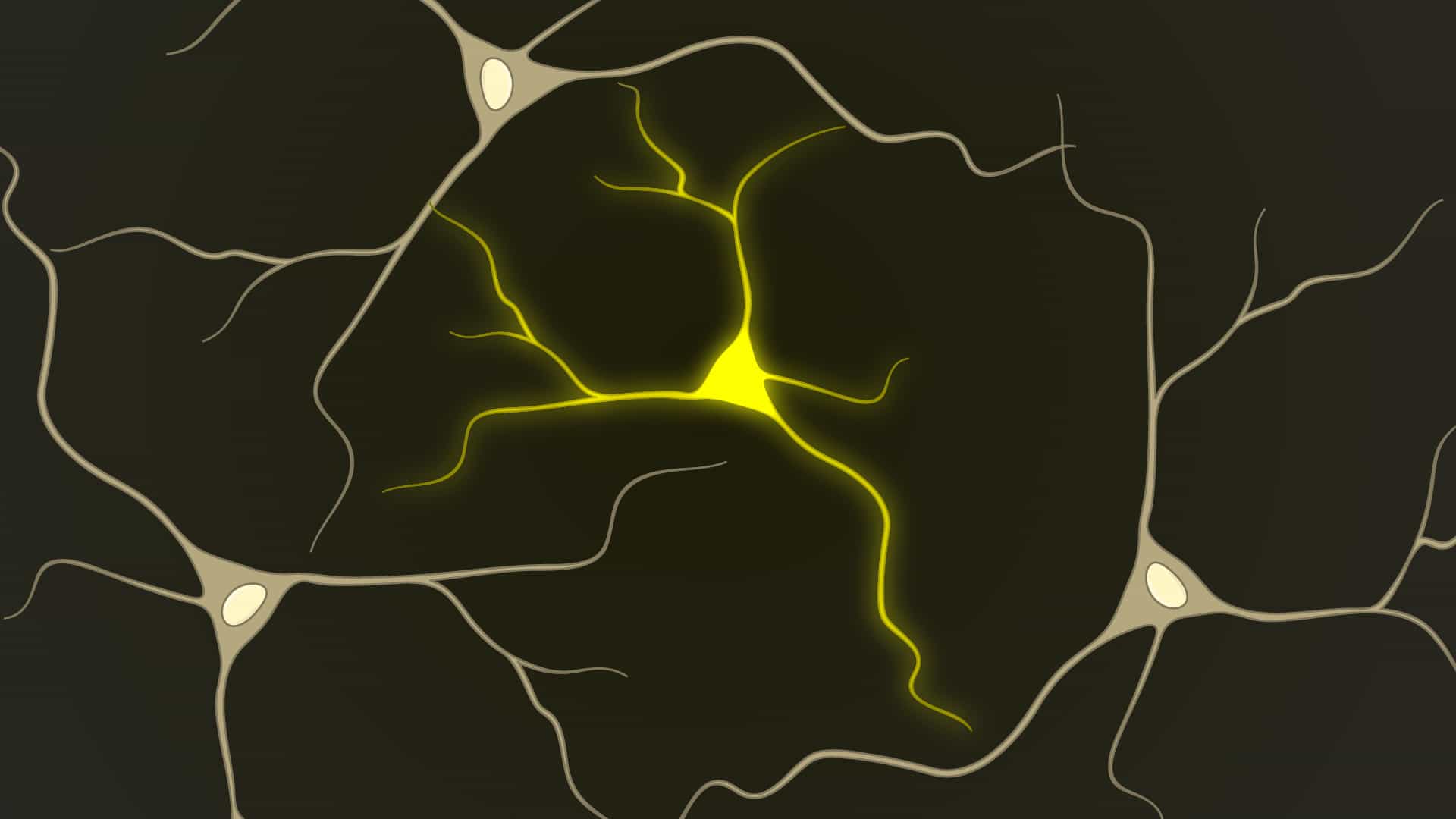 Two-Photon Laser-Induced Neural Injury: A Method to Observe Axon Degeneration and Regeneration in Drosophila Larvae