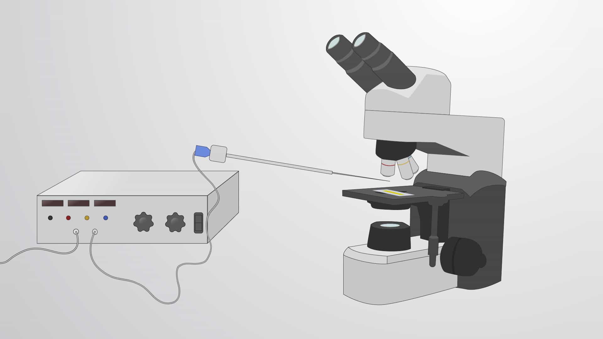 Microinjection of Live Drosophila Embryos: Early Delivery of Reagents to the Developing Embryo