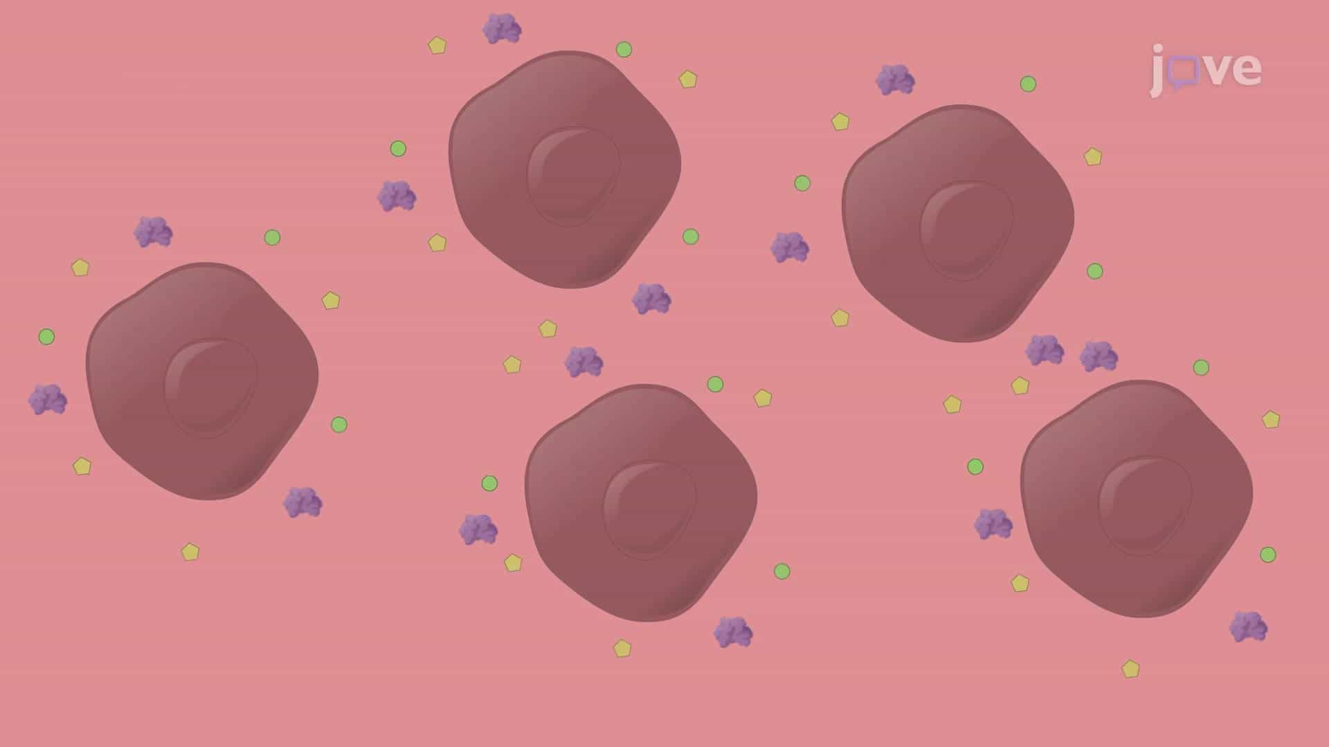 Organ Conditioned Medium: Generating Medium from Harvested Organ Cells for Metastatic Cancer Studies