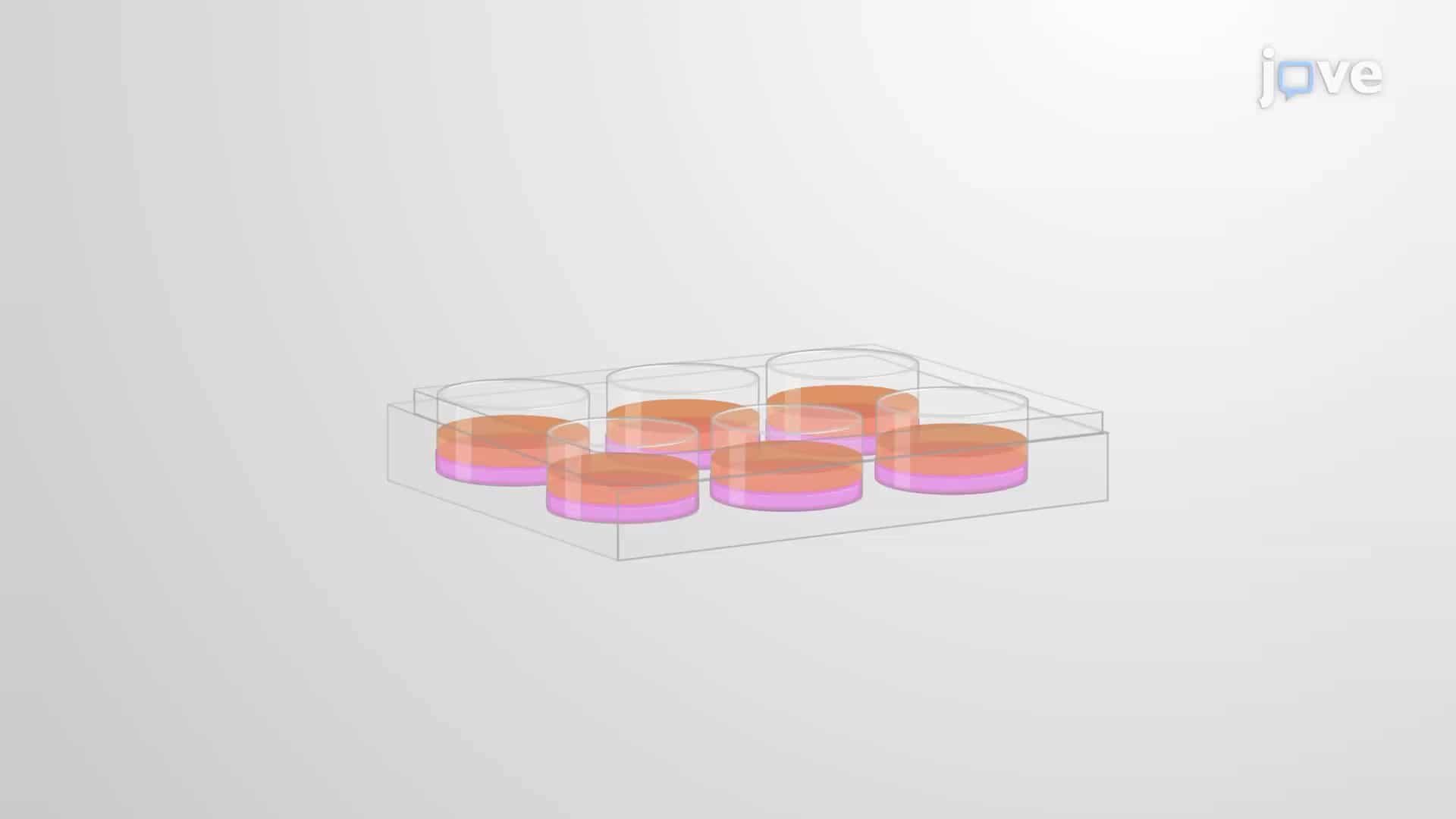 Soft Agar Colony Formation Assay: A Method to Test Effects of Novel Compounds on Cancer Cell Proliferation