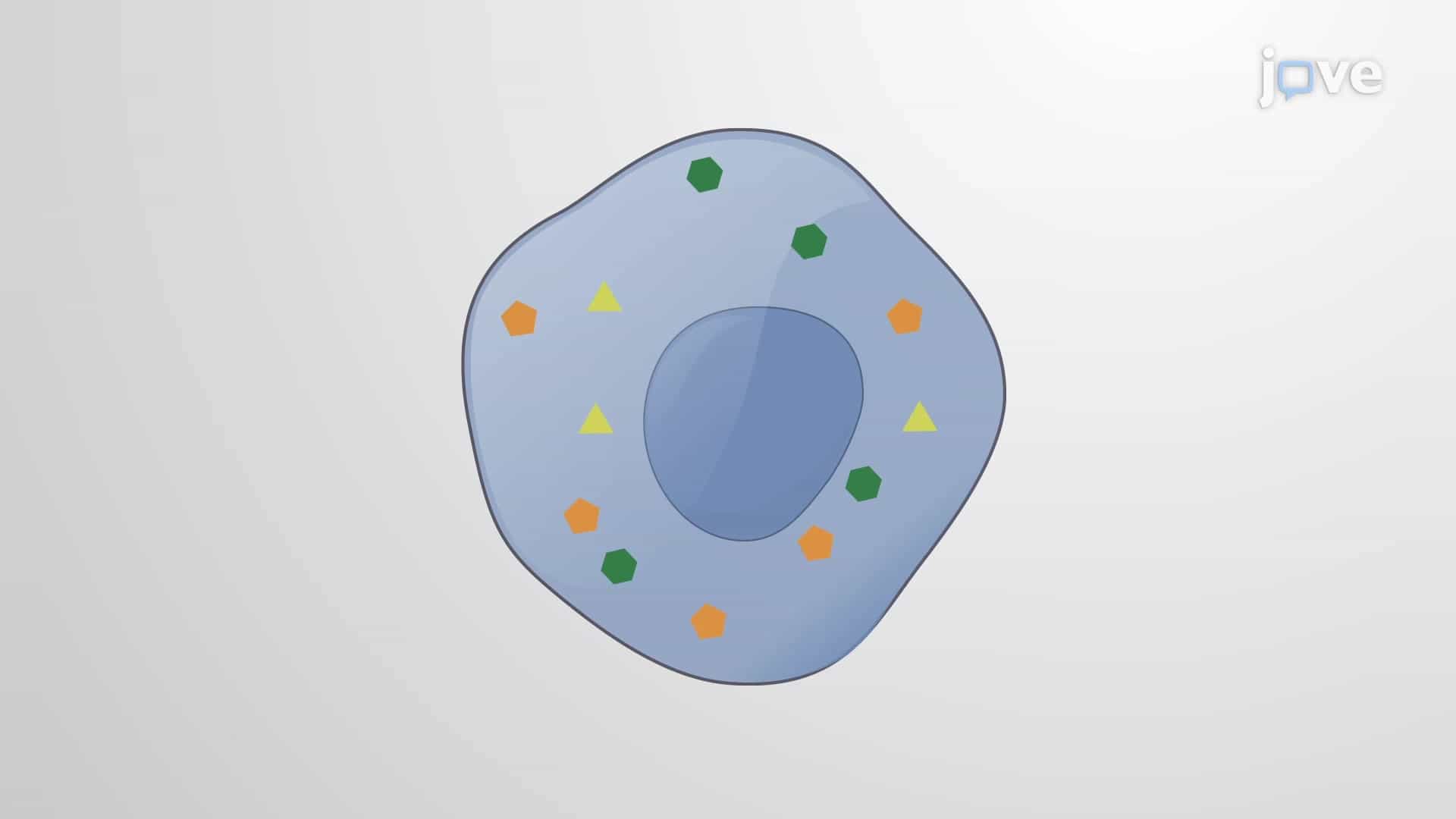 Sample Preparation for Metabolomics: A Method to Prepare Cell Samples for Metabolite Profiling