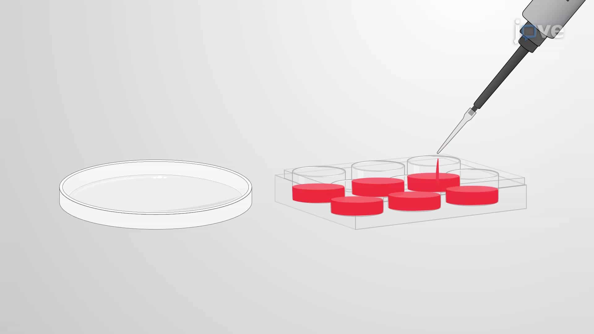 Dose Escalation: A Method for Developing Drug Resistance in Cancer Cells