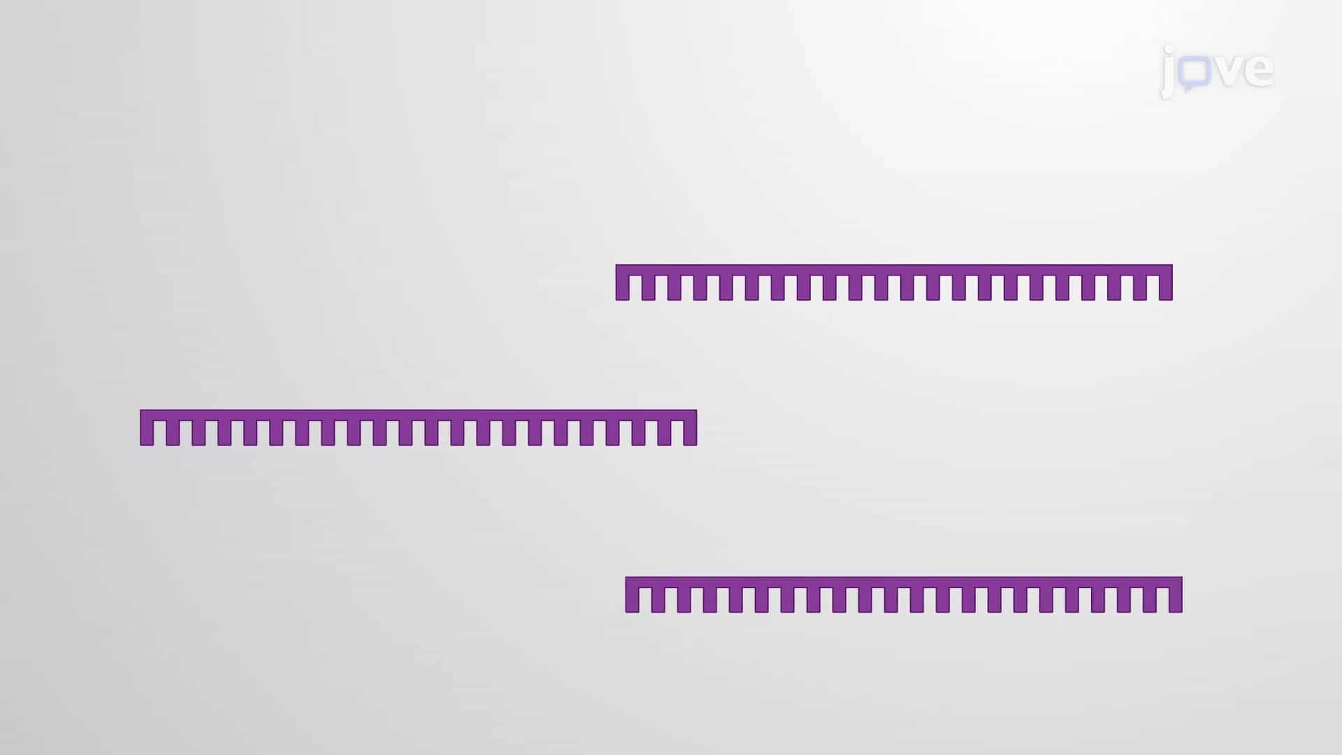 miRNA Extraction: A Method to Extract miRNA from Plasma Sample