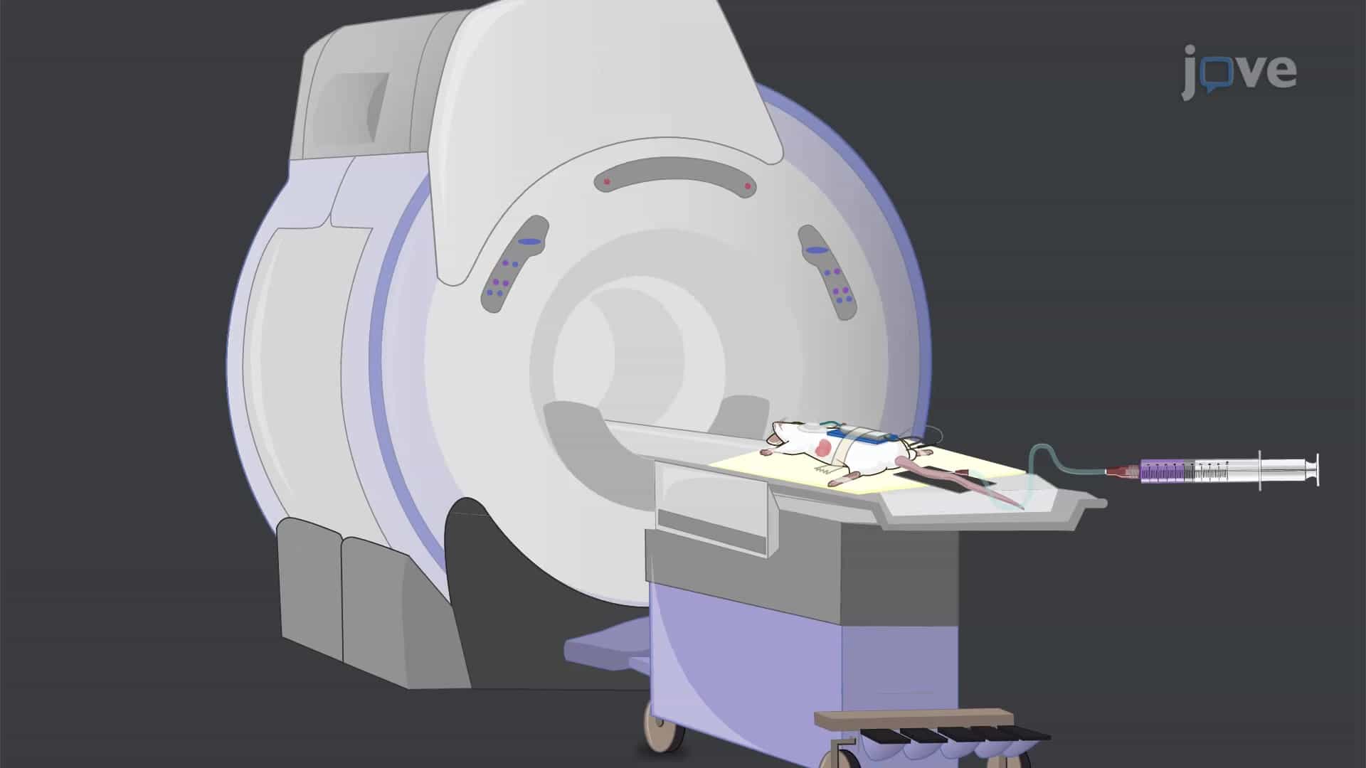 DCE-MRI of Orthotopic Pancreatic Tumor Xenografts: A Method to Assess Microvasculature in a Target Tumor Tissue