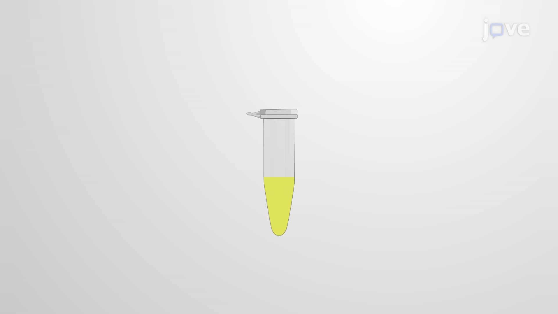 Stool Microbial DNA Isolation: Studying the Effect of Environmental Enrichment on Microbiome Diversity in Murine Tumor Model