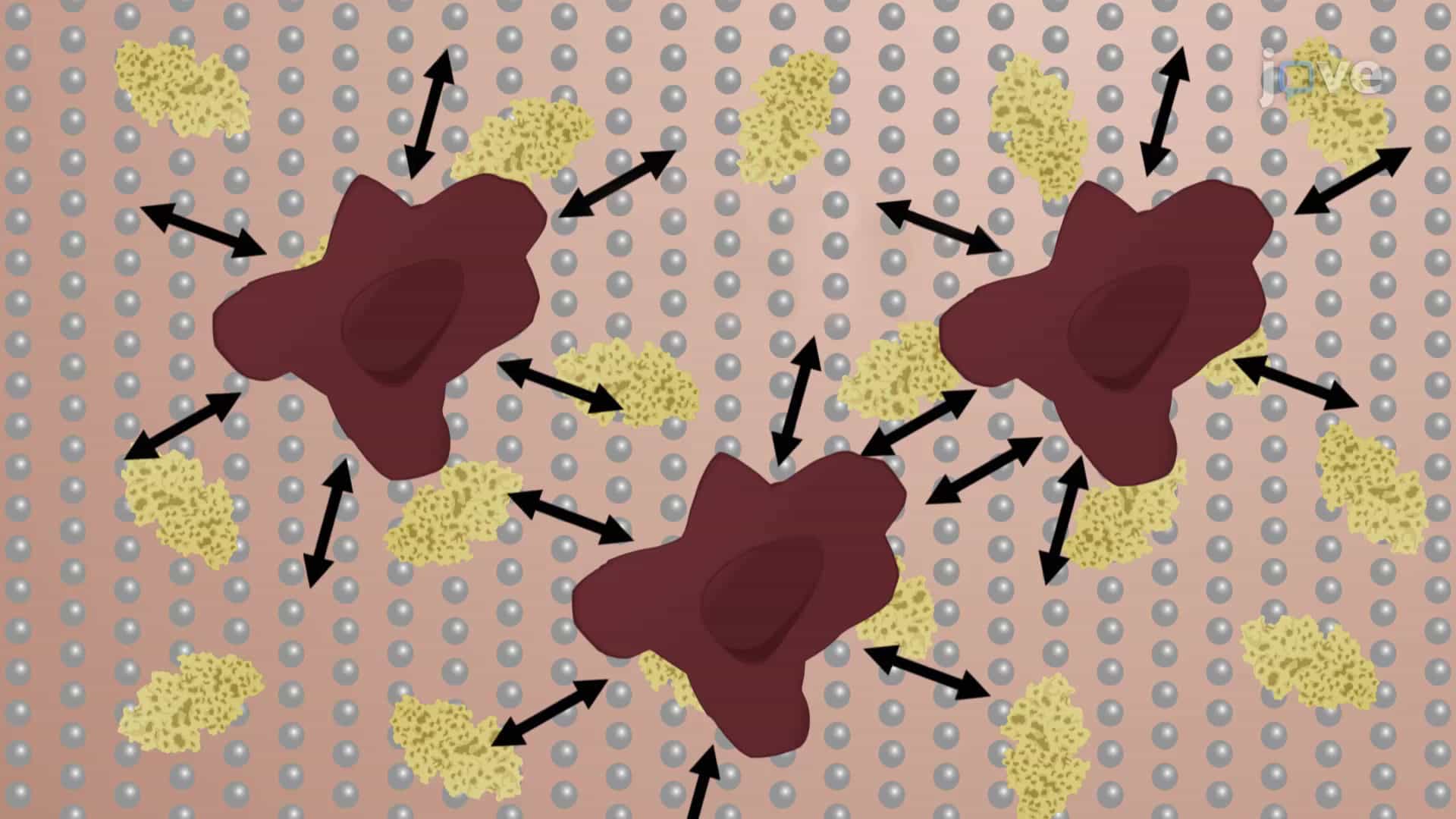 Traction Cytometry Assay: A Method to Quantify Traction Force Exerted by Cancer Cells on ECM